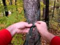 Mors Kochanski Non-Inverting Slippery Bowline Hammock Suspension
