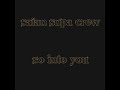 saïan supa crew   so into you  audio 