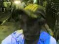 videos de vovô muito loco na rua augusta_pai do geremias