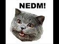 NEDM NEDM