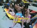 CATTOLICA 2008