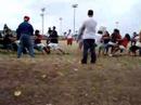 Field day \ Field day \