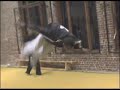 Team Superfly - Joe Sampler#2 - 2005