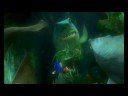 Nevermind The To�o\