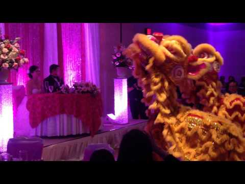 how to train your dragon live wichita ks