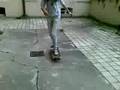 Stef Et Le Skate 2 :p