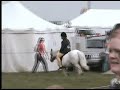Riccalton Flint at Central & West Fife Show