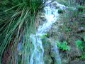 Xeraco: naturalesa