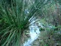 Xeraco: naturalesa