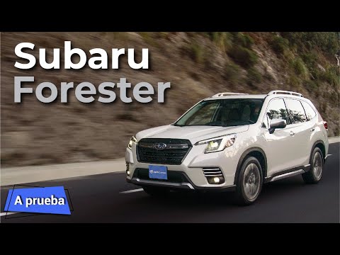 Subaru Forester 2022 - Una SUV muy inteligente y versátil, pero incomprendida en México 