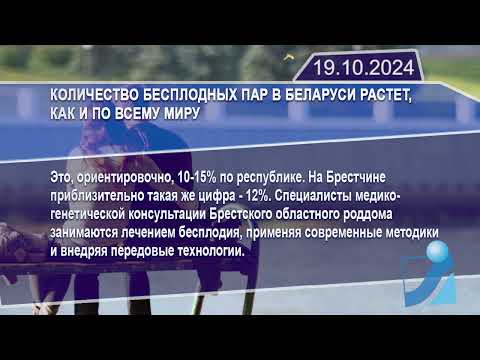 Новостная лента Телеканала Интекс 19.10.24.