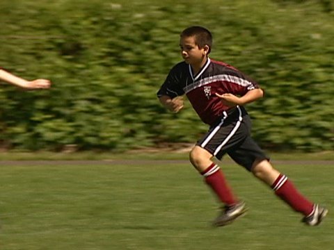 Type 1 Diabetes: Calvin's War
