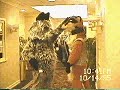 Confurence East 1995