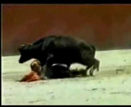 Oruga Trotamundos mira el video - MioPlanet.org