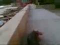 videos de Mounio.3gp