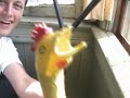 In 2004 my family and I visited a friend of my dad's  in northern Cali. I was bored so naturally I found his screaming rubber chicken (it might be a rooster), went to the second story, and blasted it at people walking by while my younger brother filmed it. Very soon I learned how to make the chicken screams fluctuate and now believe that THERE IS AN ARTFORM TO FLUCTUATED CHICKEN SCREAMS. Enjoy this masterpiece!