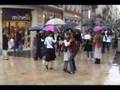 calins gratuits bordeaux