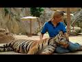My Tiger temple - Change your life ...