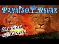 SABANA AFRICANA, MUSICA RELAX AFRICANA, RELAJANTE, RELAXING MUSIC PR SABANA AFRICANA, MUSICA RELAX AFRICANA, RELAJANTE, RELAXING MUSIC PR
