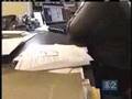 CBS 2 Chicago- Library Indecency Report