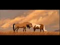 Spirit - Distant Love