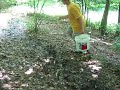 dealu frumos 118.avi