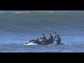 2009 REEF Hawaiian Pro Finals