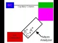Gas Chromatography/Mass Spectrometry 2