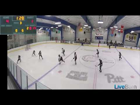 3rd Period Short-Handed #22