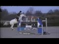 Wonderful Holstein amateur jumper