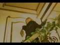 Philosopher - Hizaki Grace Project (PV)