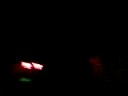 Go Discoteca (1)