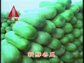 名屋 冬瓜露