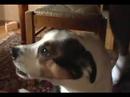Trying out new Panasonic SDR-S7 video camera