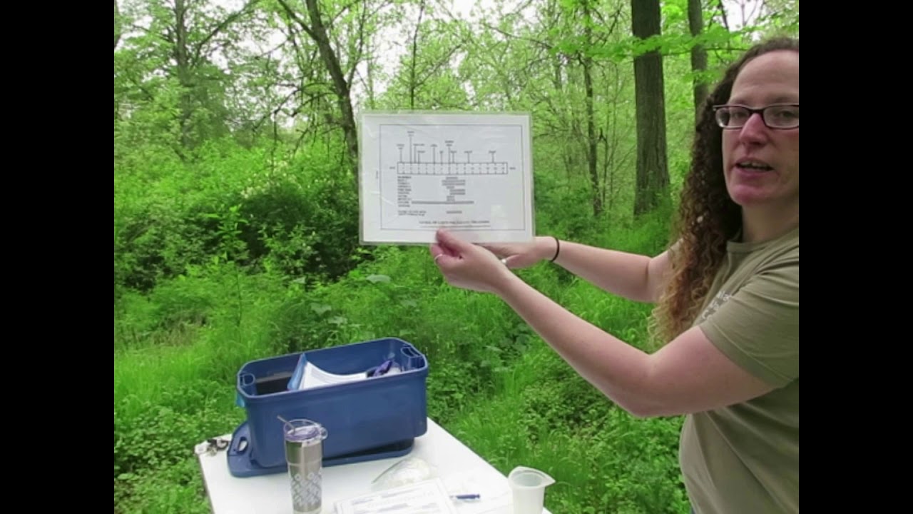 Urban Ecology Water Quality Test - Calapooia Watershed Council