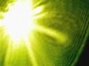 Green laser figures.