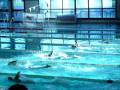 Federica 100sl Coppa Italia Uisp Reggio Emilia