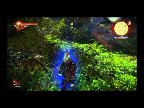 The Witcher 2 : Assassins of Kings