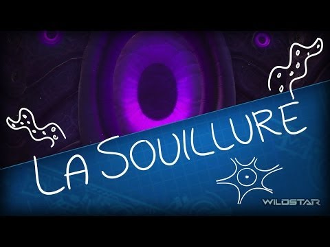 Vidéo 1
