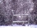 Song White Christmas Video