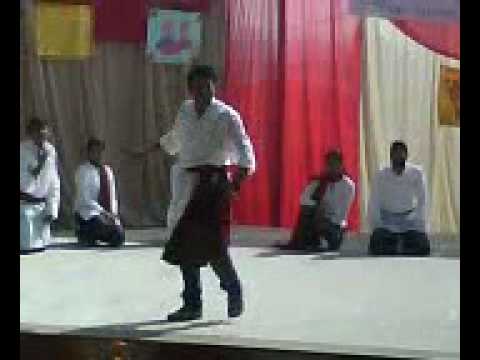 MTIM VIDEO0008 2