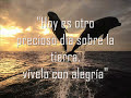 mensaje de los delfines