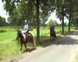 videos de Lits+Lauwers041 Skieppedrifte09