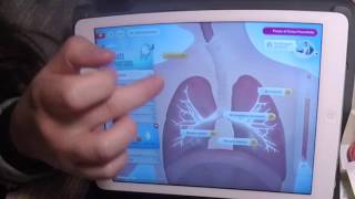 MAMMA MODELLO BASE – Esplorando il corpo umano