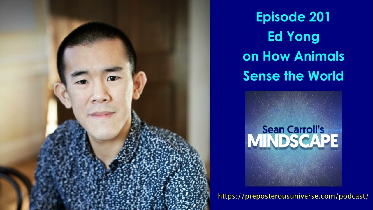 Mindscape 201 | Ed Yong on How Animals Sense the World