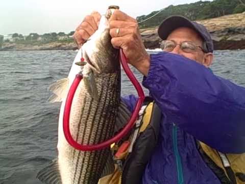 Kayak Fishing Baits for striped bass