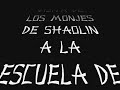 monjes shaolin en la escuela laoshan  tenerife 