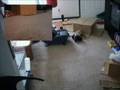 videos de Ferret + R/C Car + Camera = ??