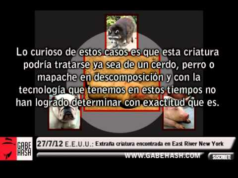 Imagen de previsualización de YouTube