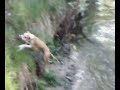 wittin wittin!!!